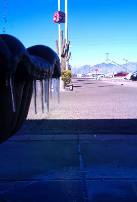 Icicles and Cacti