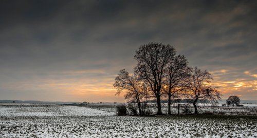 Color Inspiration - Winter Fields 