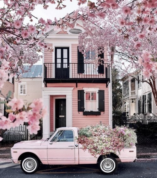 Color Inspiration - Dreaming of Spring