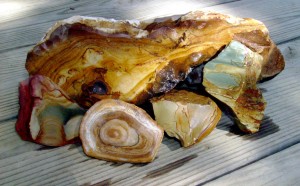 Dale Armstrong's Gem Profile- Picture Jasper - , General Education, , Rough Jasper