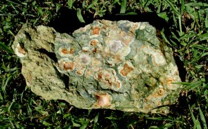 Judy Ellis's Gem Profile- Rhyolite - , General Education, , Rainforest rough Jasper