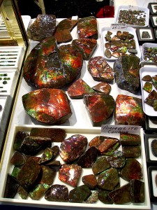 Dale Armstrong's Gem Profile- Ammolite - , General Education, , Ammolite display