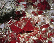 Judy Ellis's Gem Profile- Cuprite - , General Education, , Cuprite Crystals