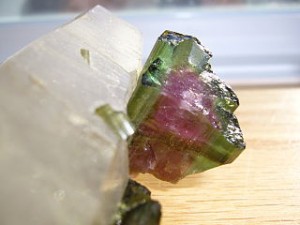 Judy Ellis's Gem Profile- Tourmaline - , General Education, , Watermelon Tourmaline