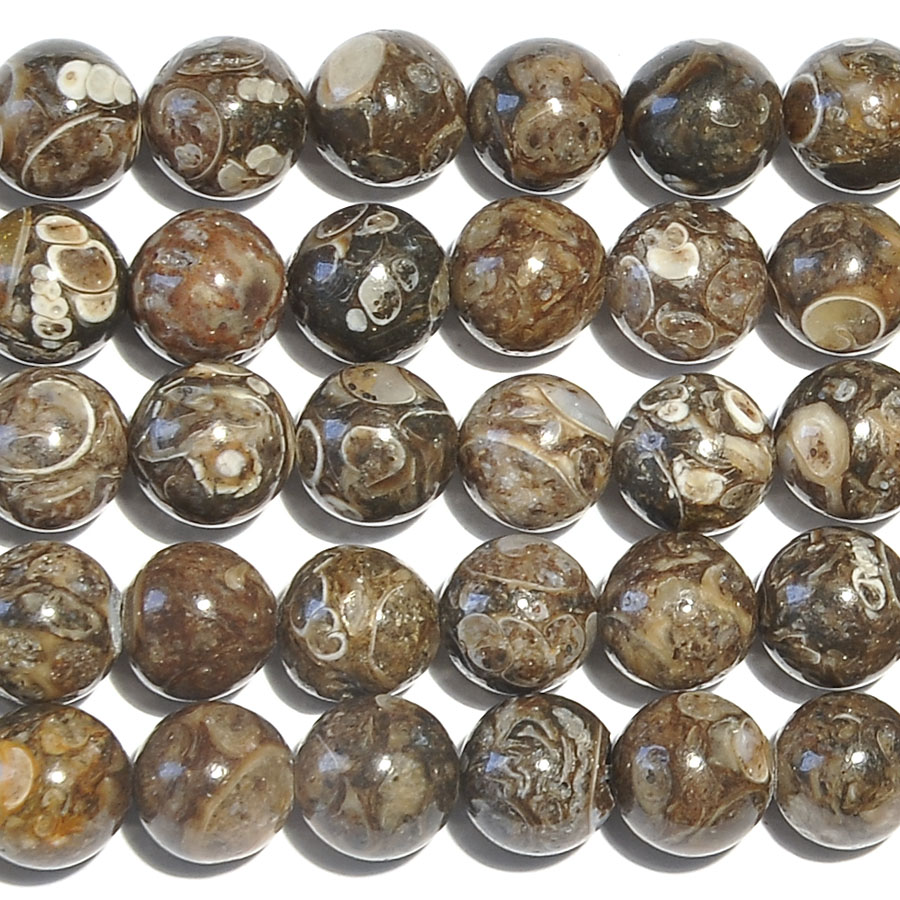 Turritella agate clearance beads