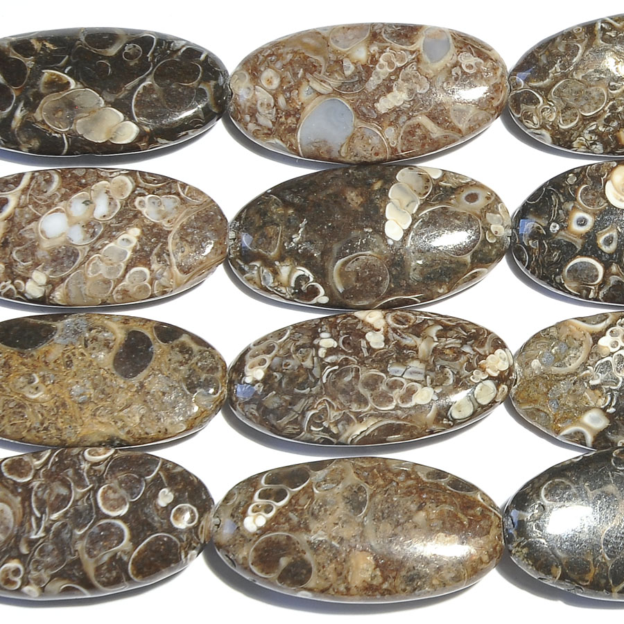 Turritella Agate 15x30mm Oval Beads - 8 Inch Strand: Wire Jewelry ...