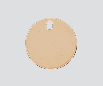 Gold Filled Charm Round Flat Disc w/Hole 9mm - Pack of 1