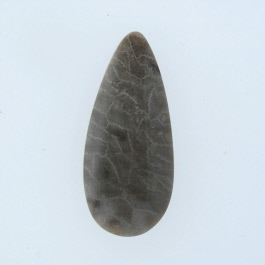 41x18mm Petoskey Stone Fossil