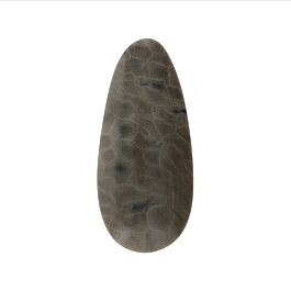 46x21mm Petoskey Stone Fossil