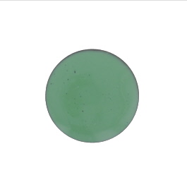 1315 Willow Green Thompson Opaque Enamel