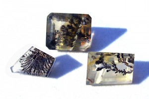 dendritic quartz stones, with inclusions like tree branches