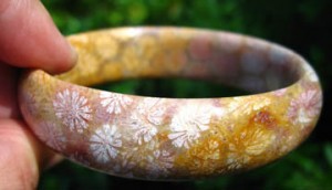 Agatized Fossil Coral Agate Bangle